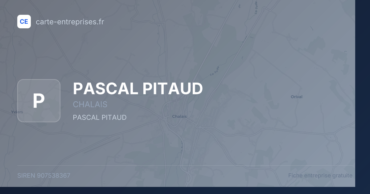 PASCAL PITAUD — 907538367 — fiche entreprise