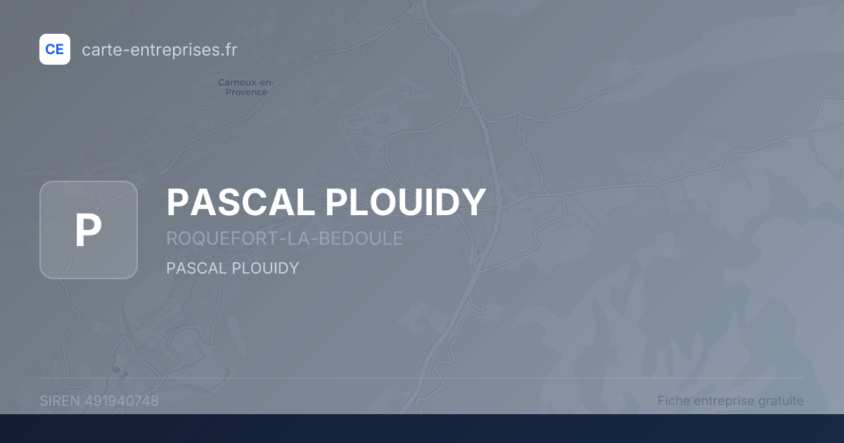 PASCAL PLOUIDY — 491940748 — fiche entreprise