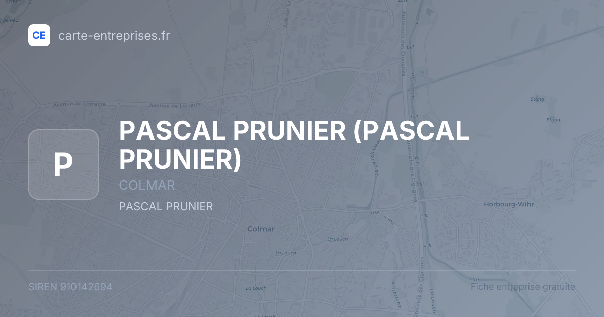 PASCAL PRUNIER — 910142694 — fiche entreprise