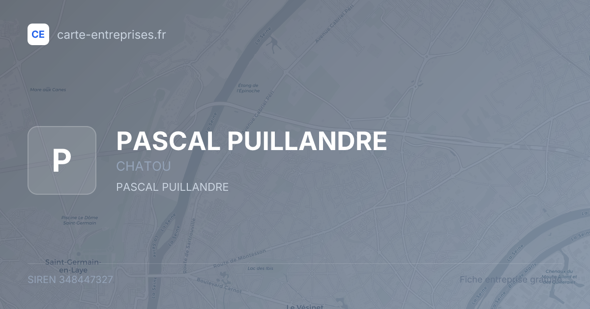 PASCAL PUILLANDRE — 348447327 — fiche entreprise