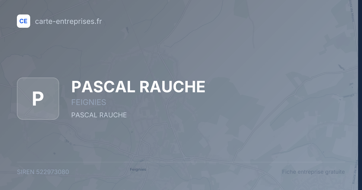 PASCAL RAUCHE — 522973080 — fiche entreprise