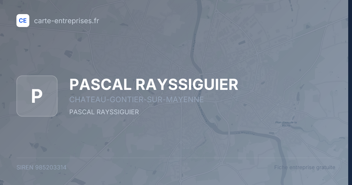 PASCAL RAYSSIGUIER — 985203314 — fiche entreprise