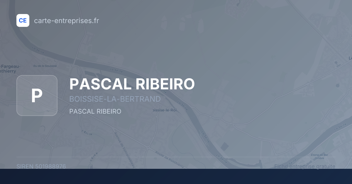 PASCAL RIBEIRO — 501988976 — fiche entreprise