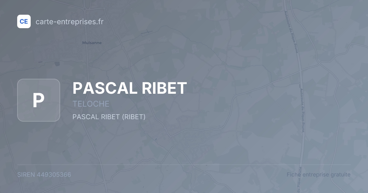 PASCAL RIBET — 449305366 — fiche entreprise