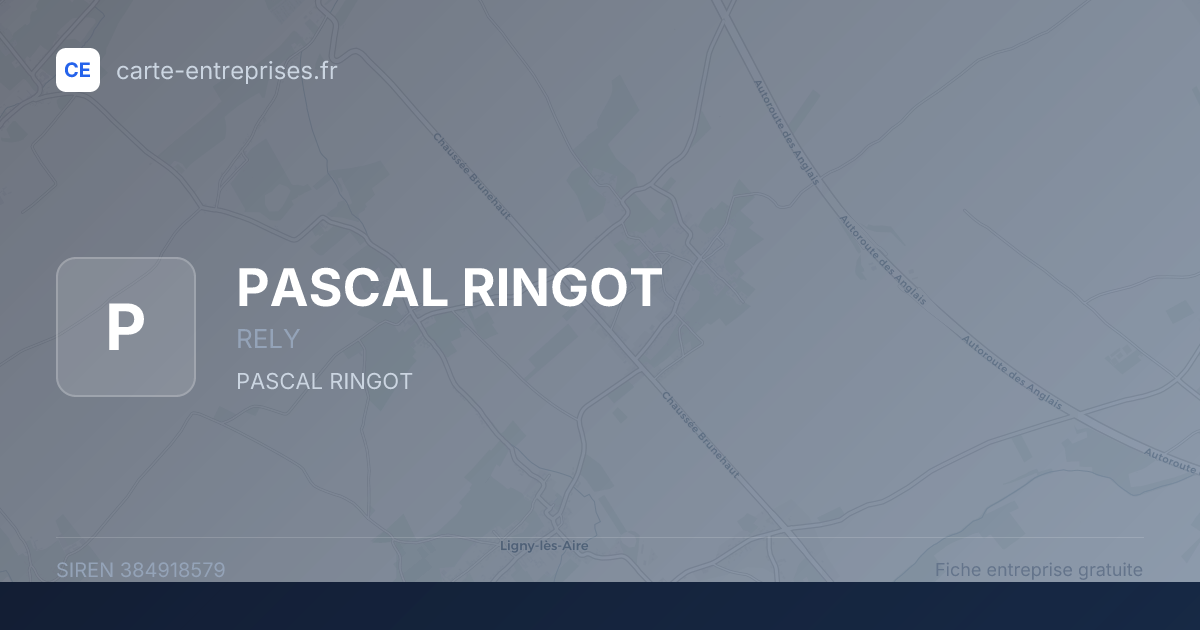PASCAL RINGOT — 384918579 — fiche entreprise