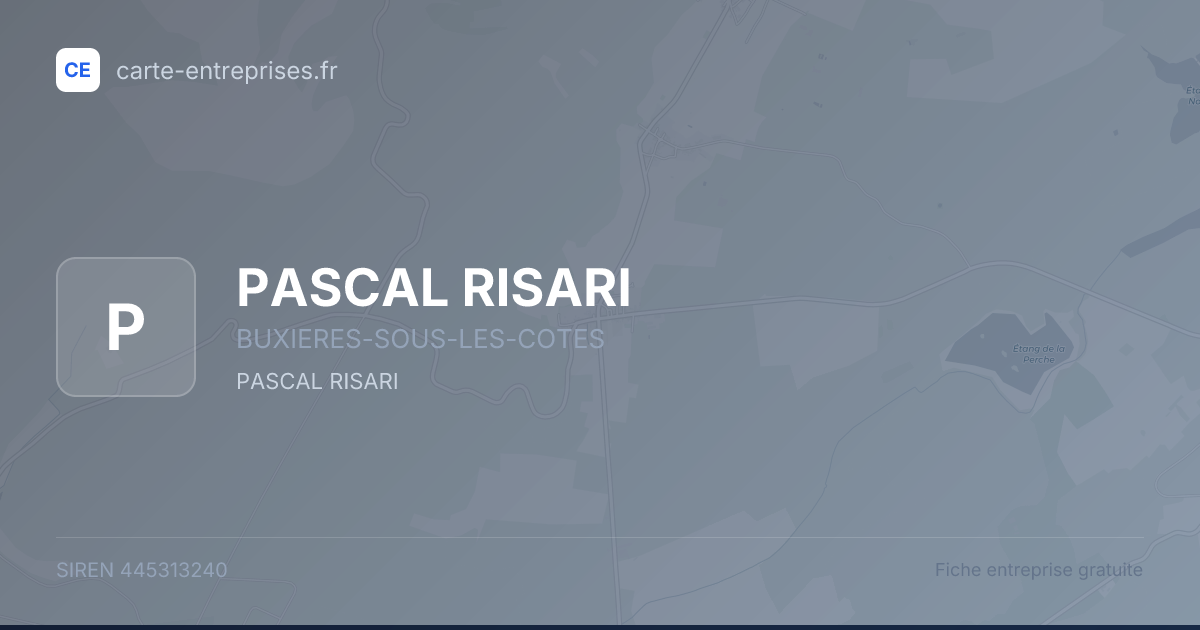 PASCAL RISARI — 445313240 — fiche entreprise