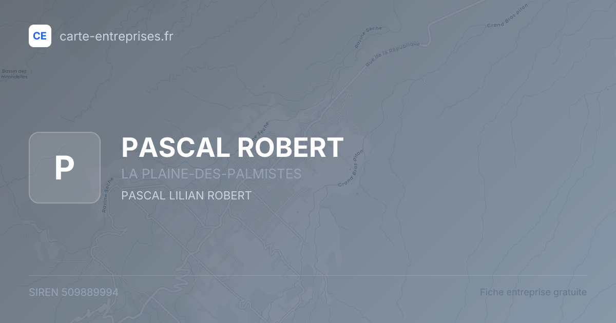 PASCAL ROBERT — 509889994 — fiche entreprise