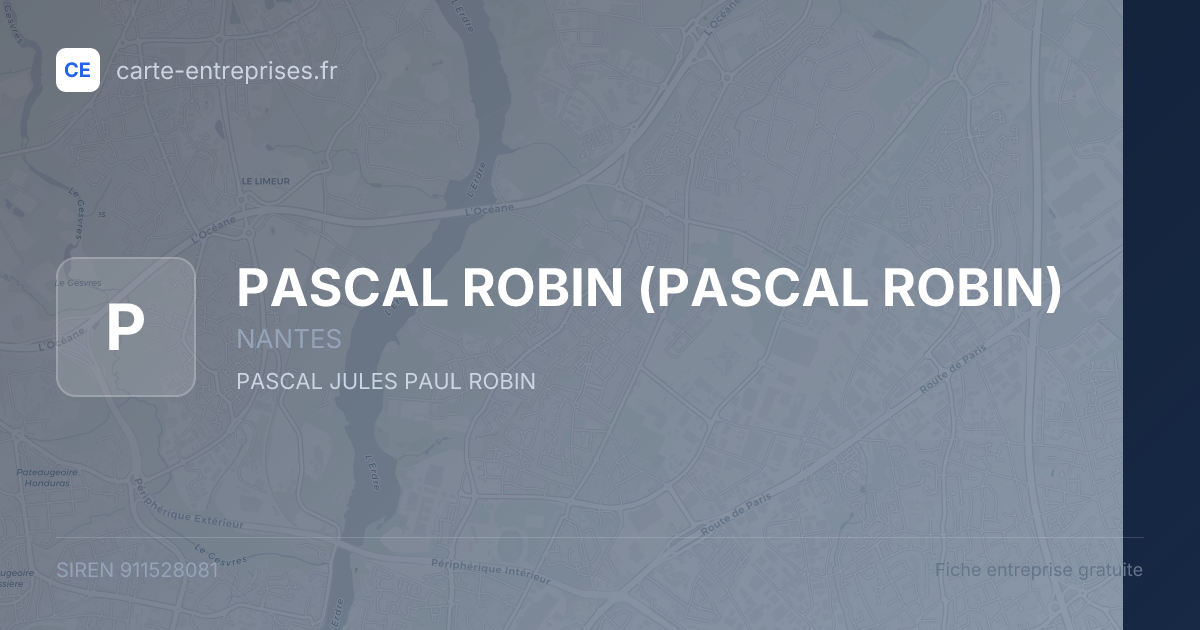 PASCAL ROBIN — 911528081 — fiche entreprise