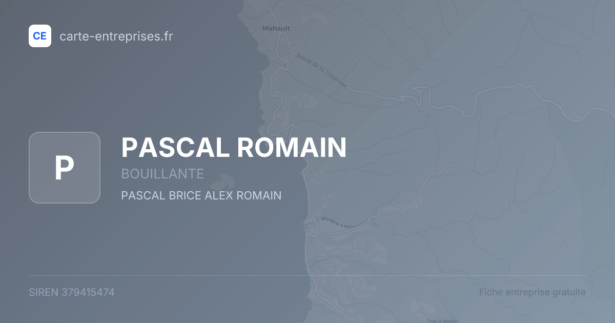 PASCAL ROMAIN — 379415474 — fiche entreprise