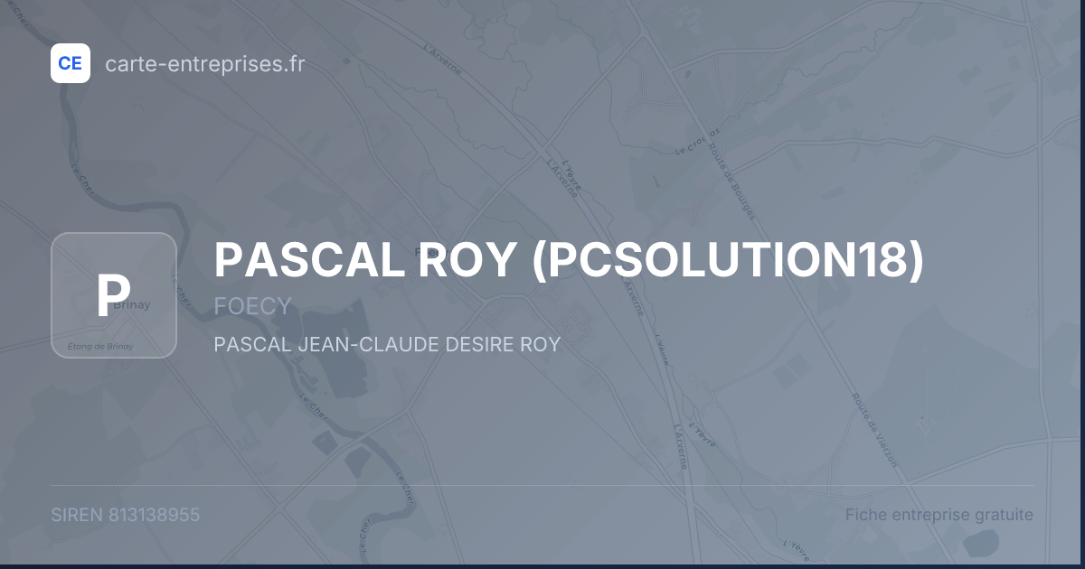 PASCAL ROY (PCSOLUTION18) — 813138955 — fiche entreprise