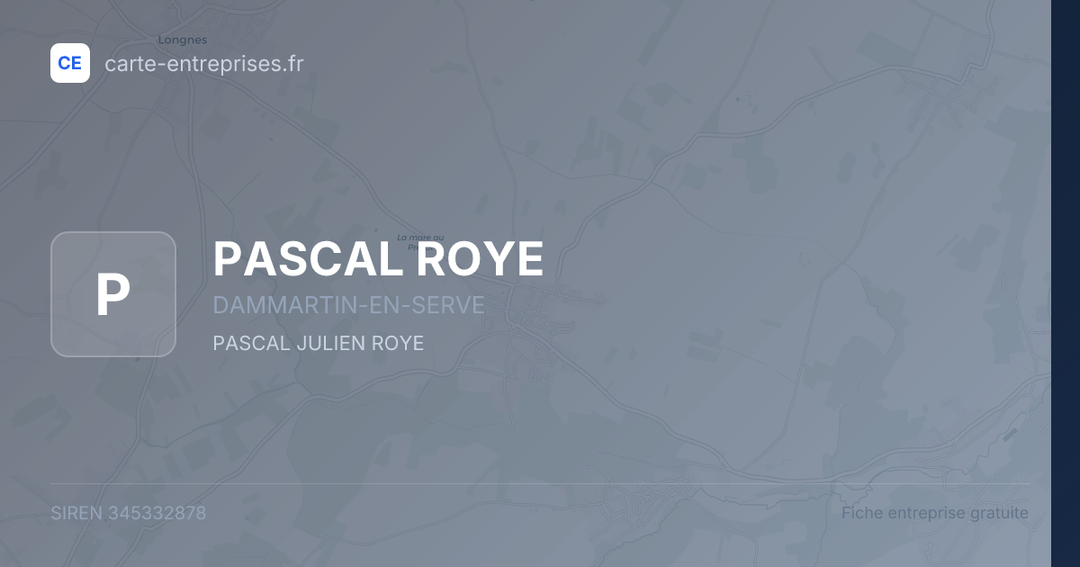 PASCAL ROYE — 345332878 — fiche entreprise