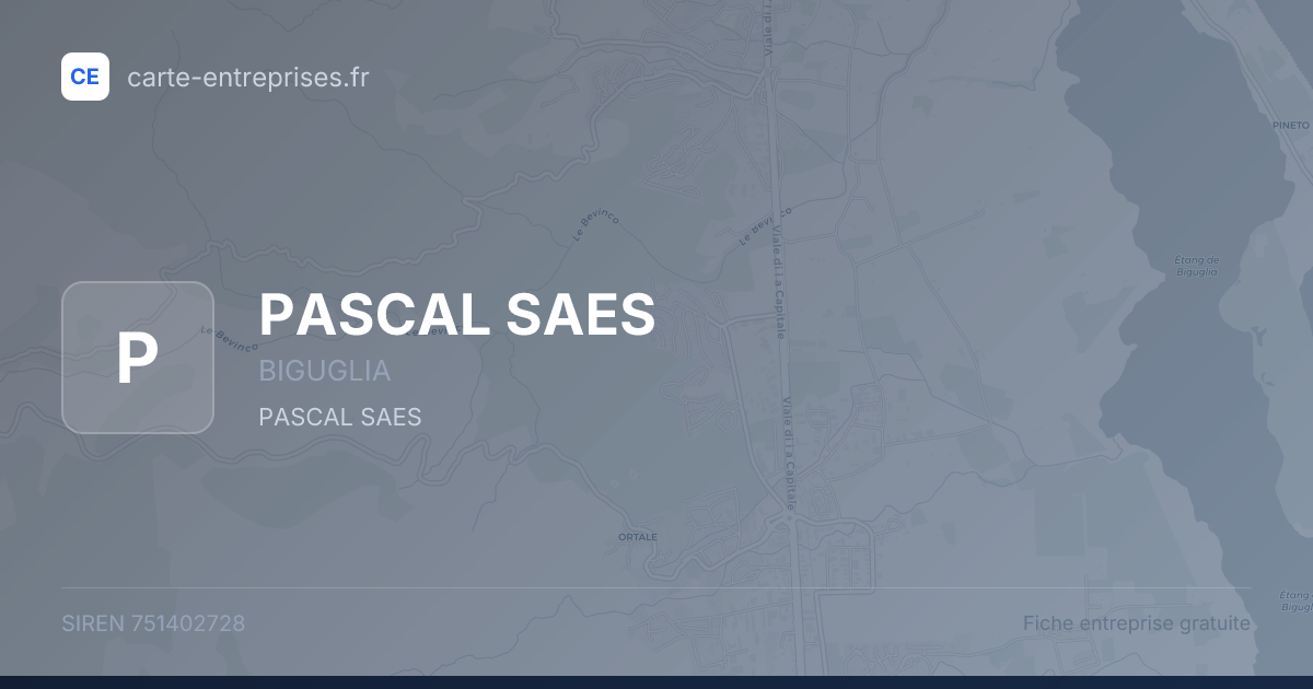 PASCAL SAES — 751402728 — fiche entreprise