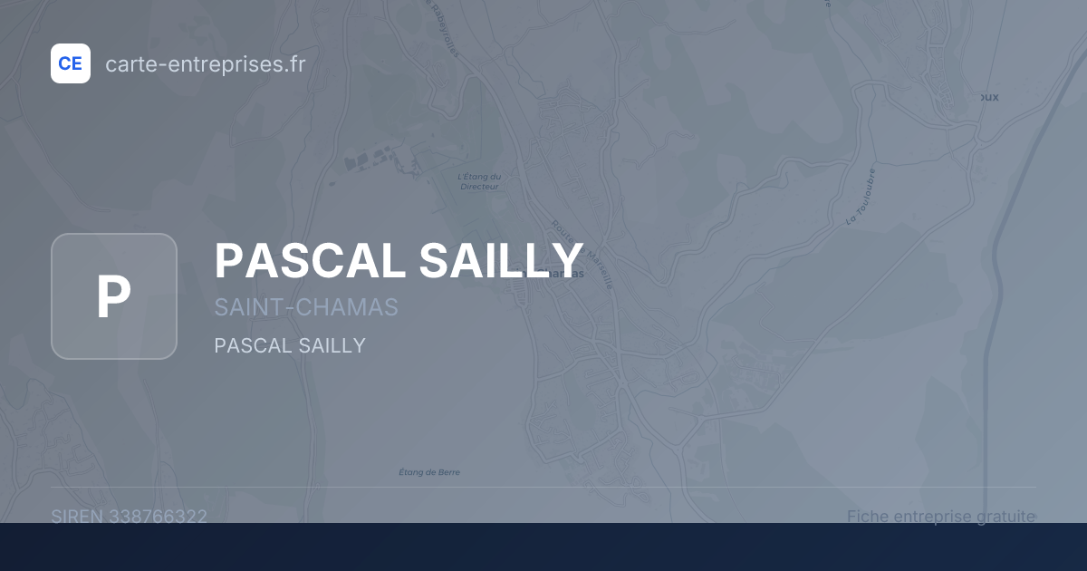 PASCAL SAILLY — 338766322 — fiche entreprise