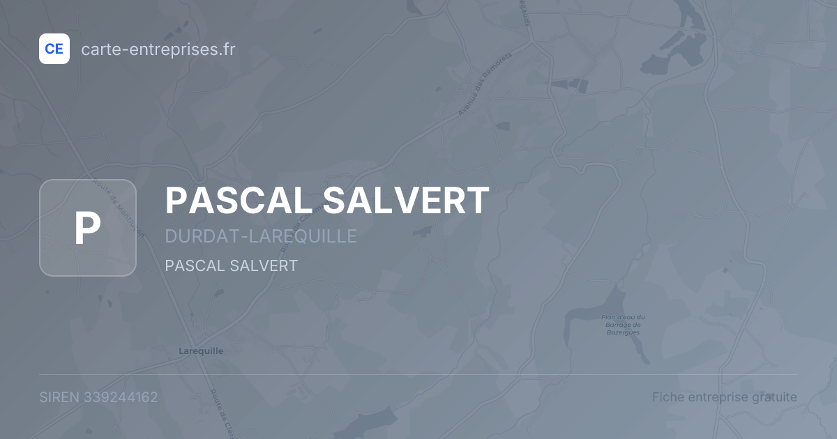 PASCAL SALVERT — 339244162 — fiche entreprise