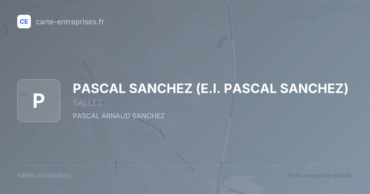 PASCAL SANCHEZ (E.I. PASCAL SANCHEZ) — 530090653 — fiche entreprise
