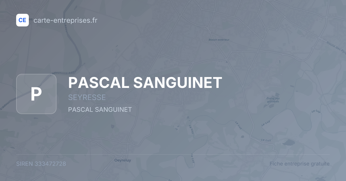 PASCAL SANGUINET — 333472728 — fiche entreprise