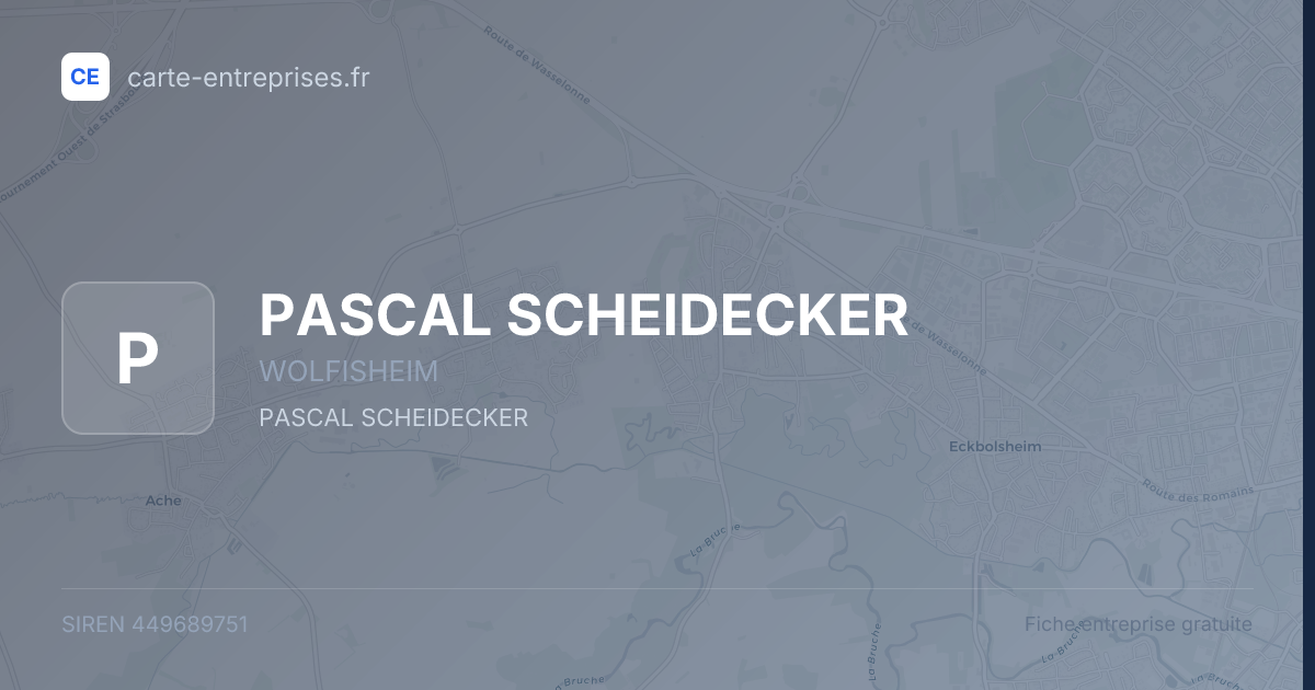 PASCAL SCHEIDECKER — 449689751 — fiche entreprise