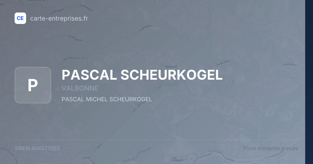 PASCAL SCHEURKOGEL — 404577553 — fiche entreprise