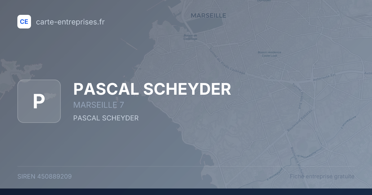 PASCAL SCHEYDER — 450889209 — fiche entreprise