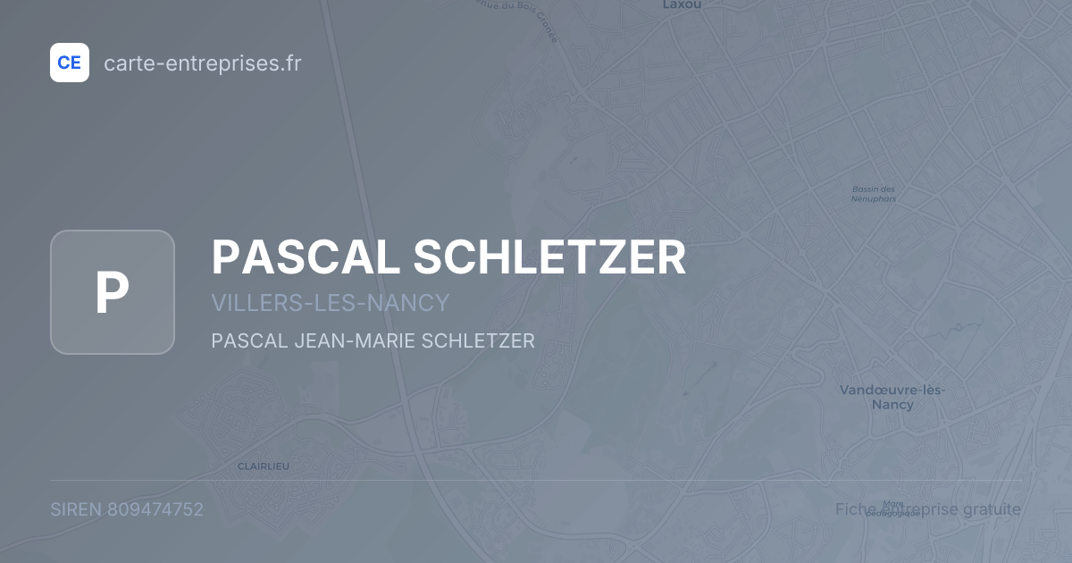 PASCAL SCHLETZER — 809474752 — fiche entreprise