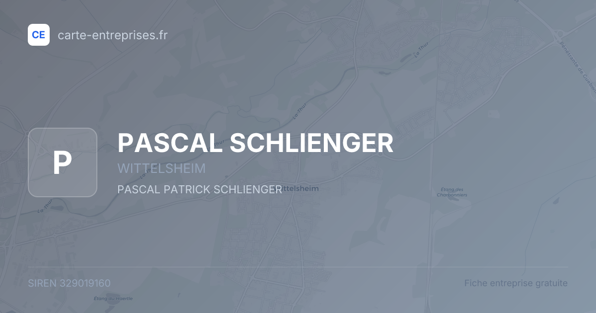 PASCAL SCHLIENGER — 329019160 — fiche entreprise