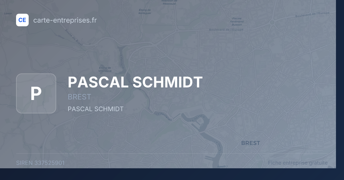 PASCAL SCHMIDT — 337525901 — fiche entreprise