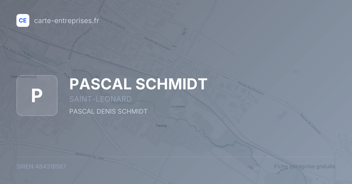 PASCAL SCHMIDT — 484316567 — fiche entreprise