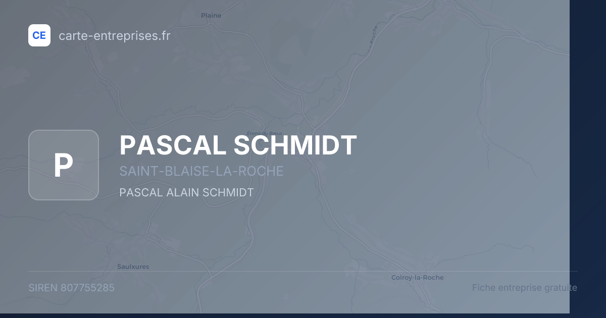 PASCAL SCHMIDT — 807755285 — fiche entreprise