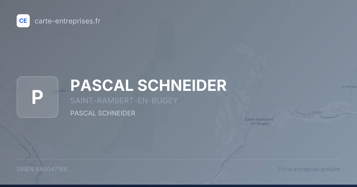 PASCAL SCHNEIDER — 845047166 — fiche entreprise