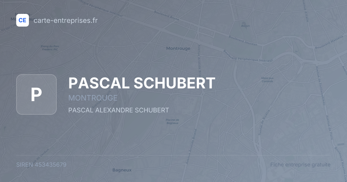 PASCAL SCHUBERT — 453435679 — fiche entreprise