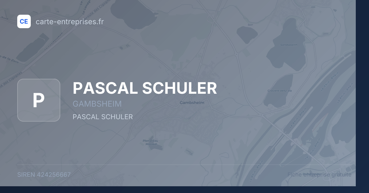 PASCAL SCHULER — 424256667 — fiche entreprise