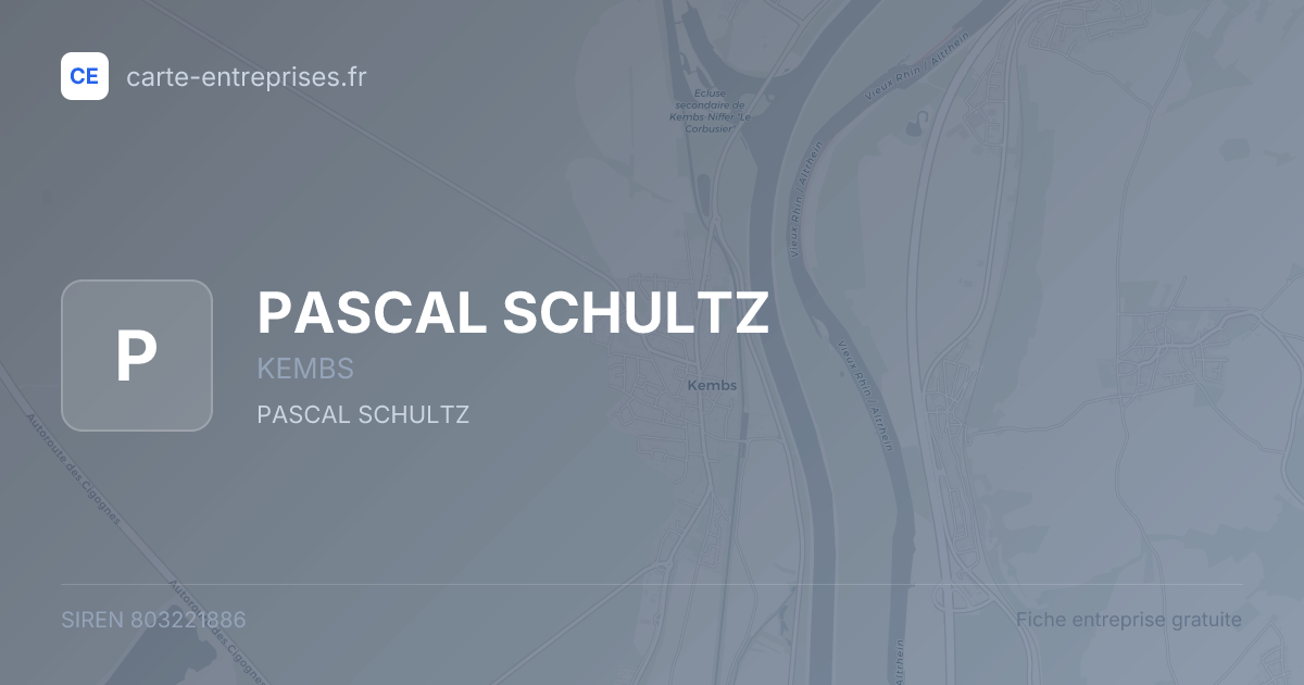 PASCAL SCHULTZ — 803221886 — fiche entreprise