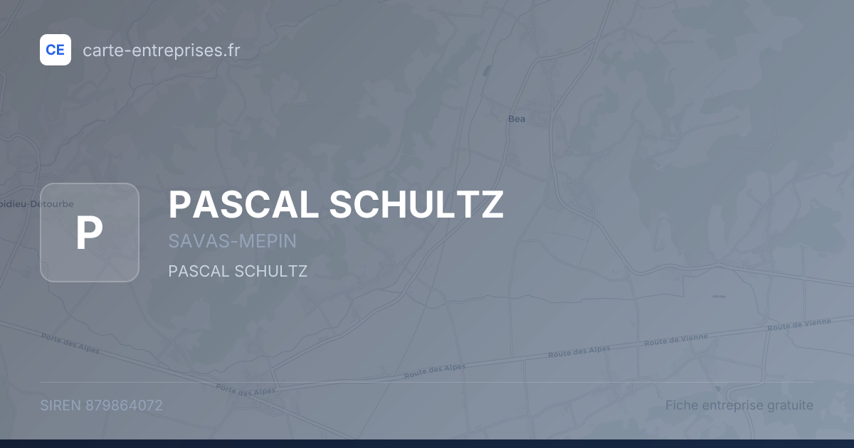 PASCAL SCHULTZ — 879864072 — fiche entreprise