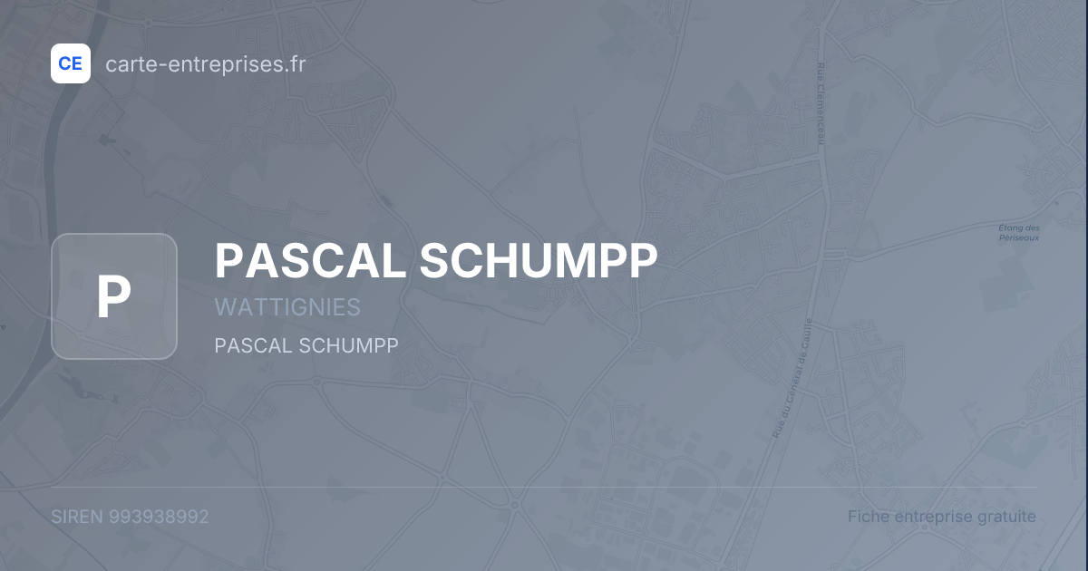 PASCAL SCHUMPP — 993938992 — fiche entreprise
