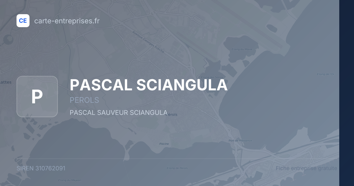 PASCAL SCIANGULA — 310762091 — fiche entreprise