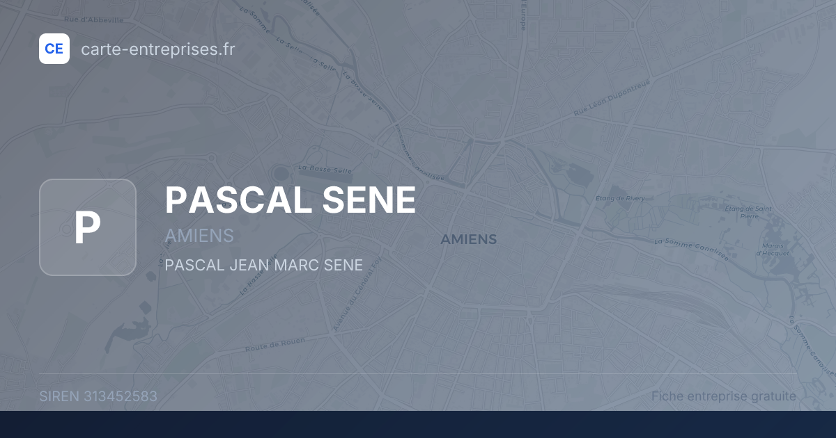 PASCAL SENE — 313452583 — fiche entreprise