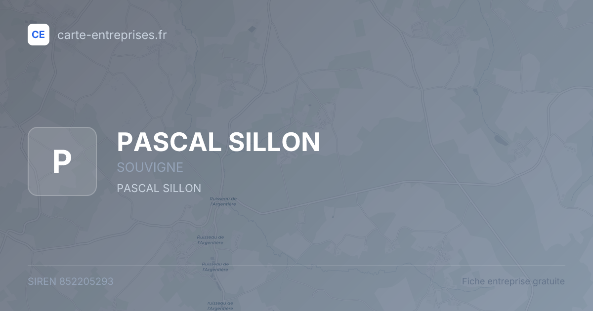 PASCAL SILLON — 852205293 — fiche entreprise