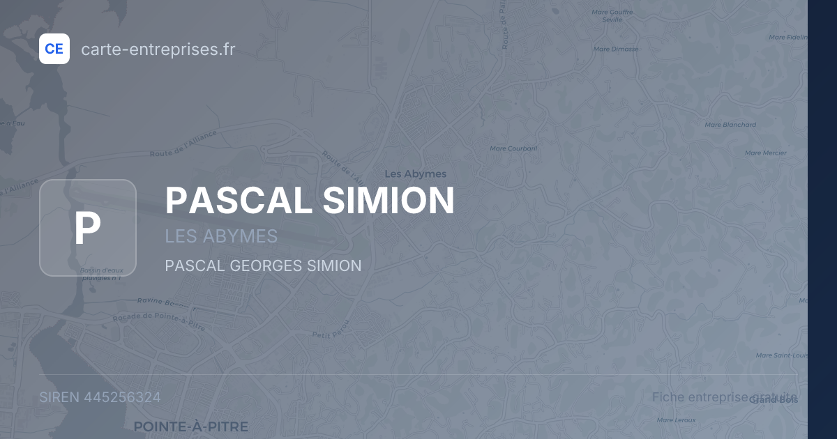 PASCAL SIMION — 445256324 — fiche entreprise