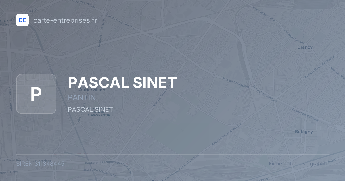 PASCAL SINET — 311348445 — fiche entreprise