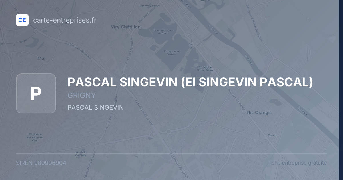 PASCAL SINGEVIN (EI SINGEVIN PASCAL) — 980996904 — fiche entreprise