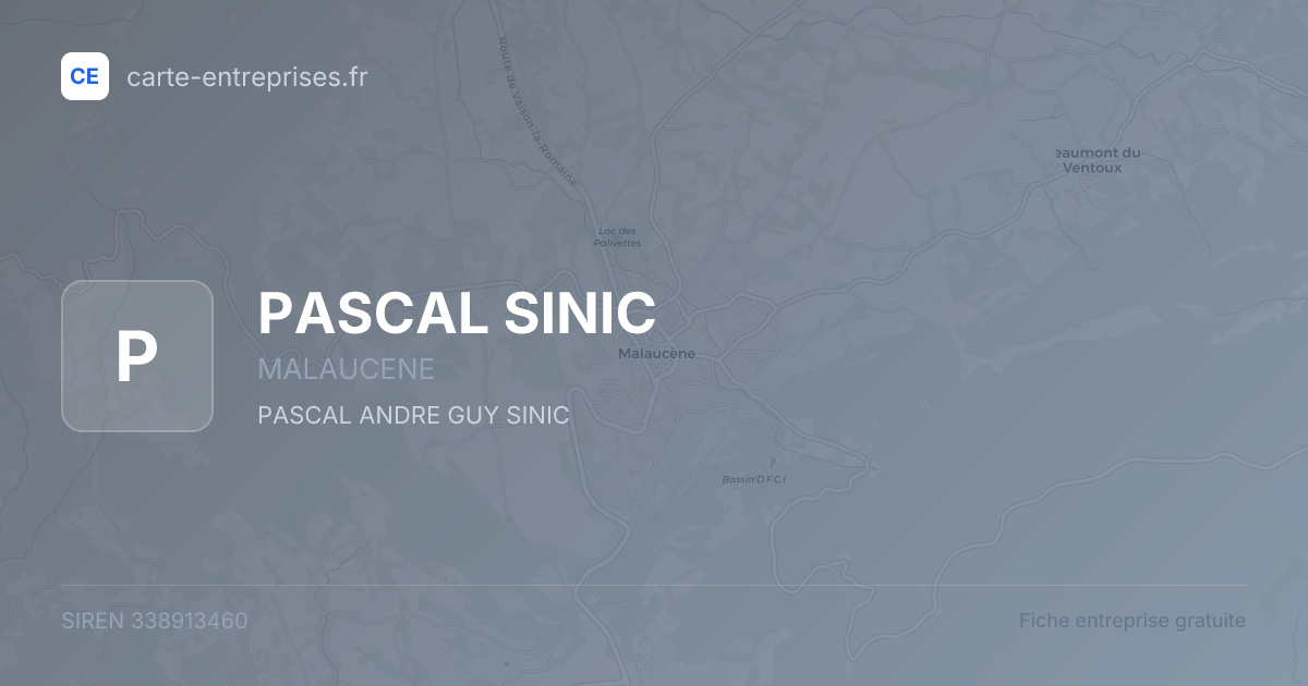 PASCAL SINIC — 338913460 — fiche entreprise