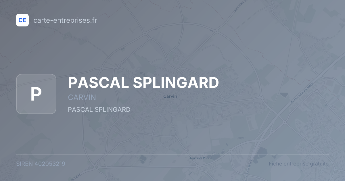 PASCAL SPLINGARD — 402053219 — fiche entreprise