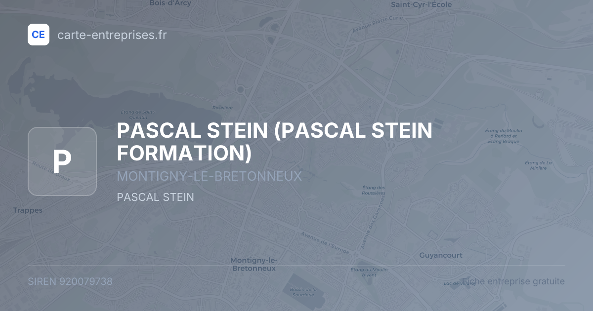 PASCAL STEIN (PASCAL STEIN FORMATION) — 920079738 — fiche entreprise