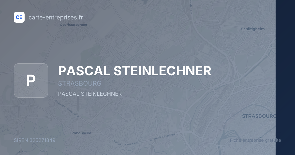 PASCAL STEINLECHNER — 325271849 — fiche entreprise
