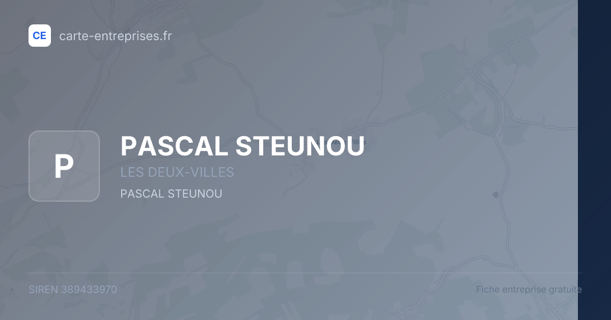 PASCAL STEUNOU — 389433970 — fiche entreprise