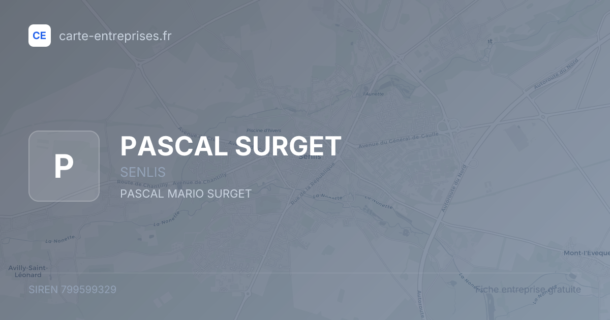PASCAL SURGET — 799599329 — fiche entreprise