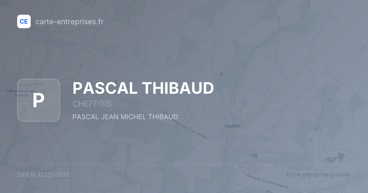PASCAL THIBAUD — 352500813 — fiche entreprise