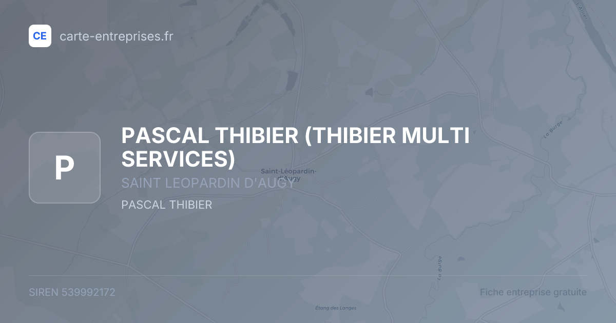 PASCAL THIBIER (THIBIER MULTI SERVICES) — 539992172 — fiche entreprise
