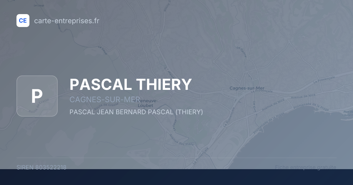 PASCAL THIERY — 803522218 — fiche entreprise