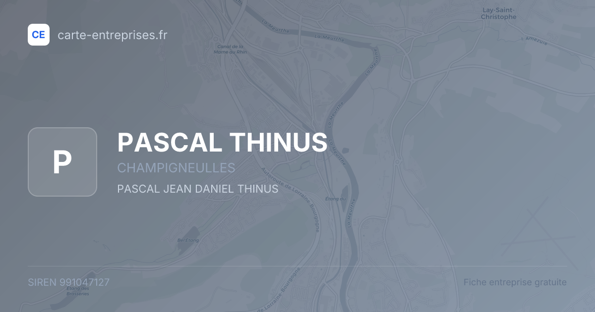 PASCAL THINUS — 991047127 — fiche entreprise